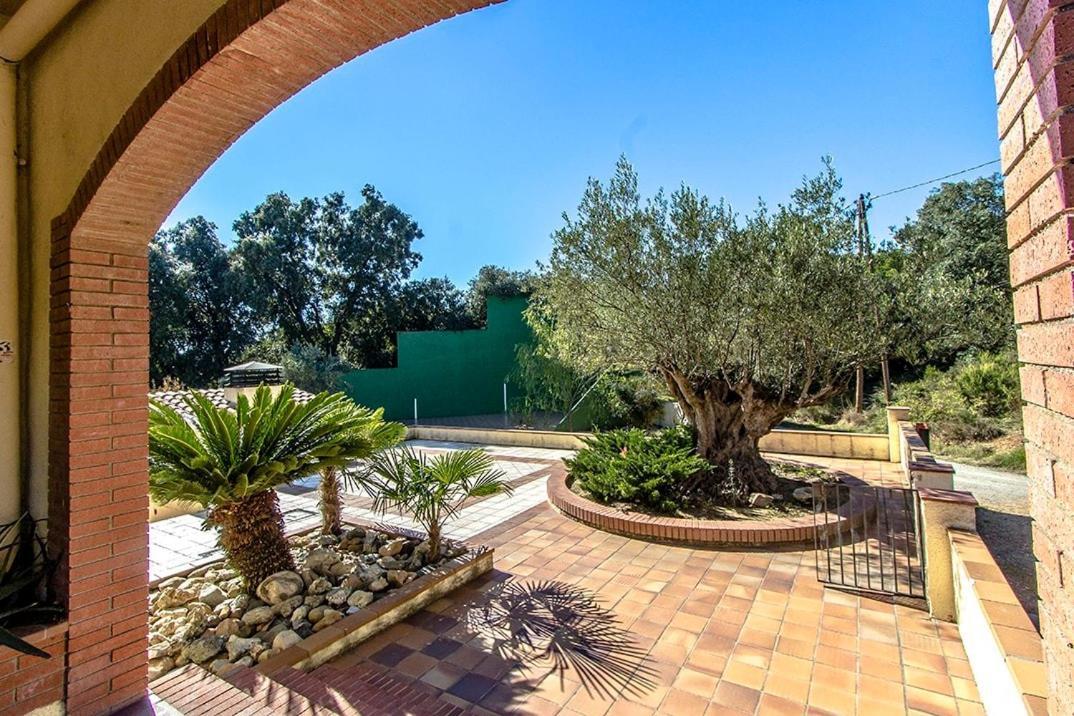 Catalunya Casas Nature And Tranquility For 24 Pax - 30Km To Beach Sant Pere de Vilamajor Exterior foto
